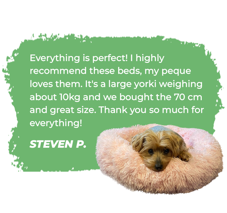 Calming Donut Dog Bed PetBelong